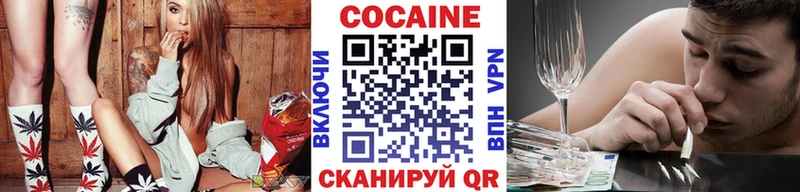 где купить   Козловка  сайты даркнета формула  Cocaine Fish Scale 