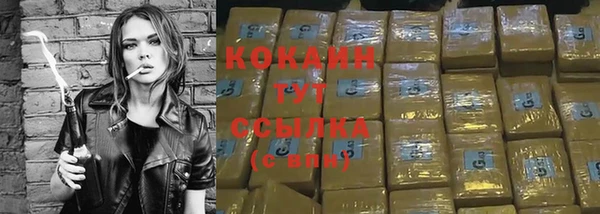 спиды Корсаков