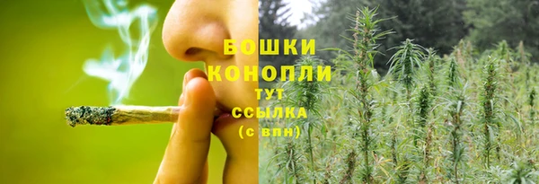 таблы Козловка