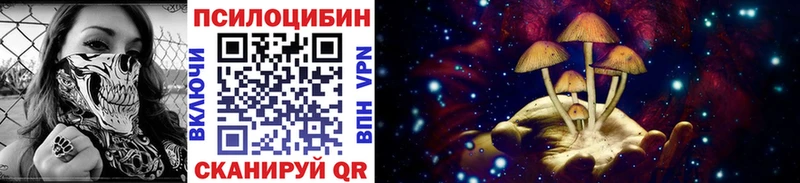 Псилоцибиновые грибы мицелий  Козловка 